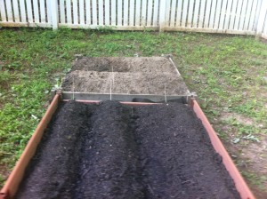 Finished garden with veggies planted